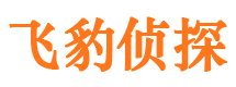 湟中市私家侦探